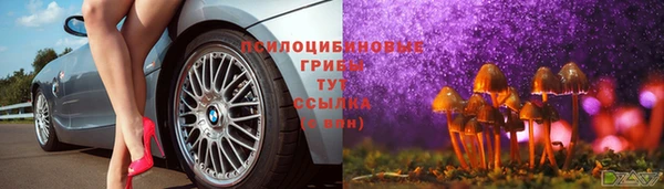 прущие крисы Армянск