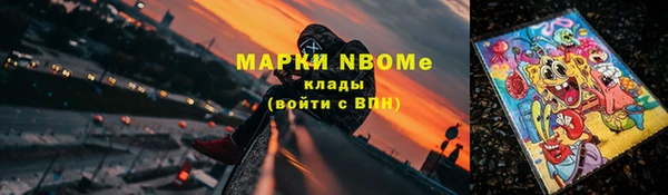 PSILOCYBIN Алзамай