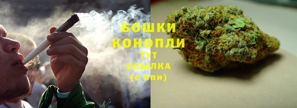 шишки Алексеевка