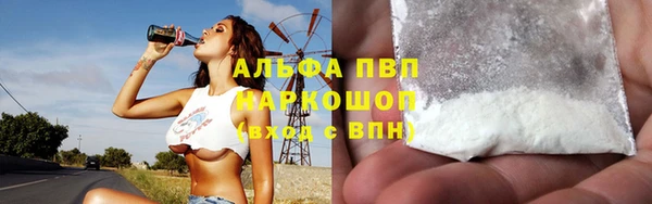 PSILOCYBIN Алзамай