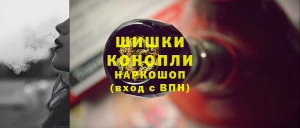 PSILOCYBIN Алзамай