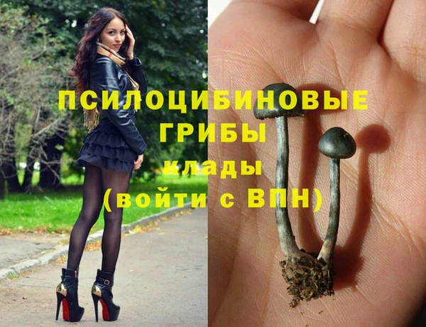 шишки Алексеевка