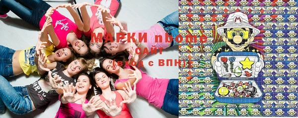 шишки Алексеевка