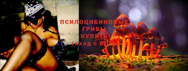 шишки Алексеевка