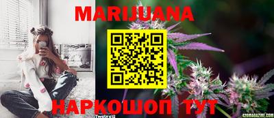прущие грибы Балашиха