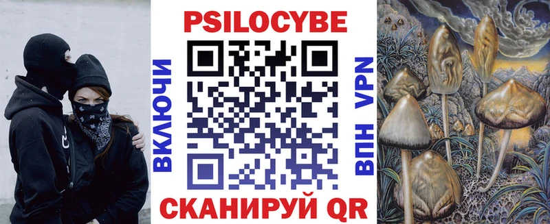 Псилоцибиновые грибы мухоморы  купить наркотик  Ахтубинск 